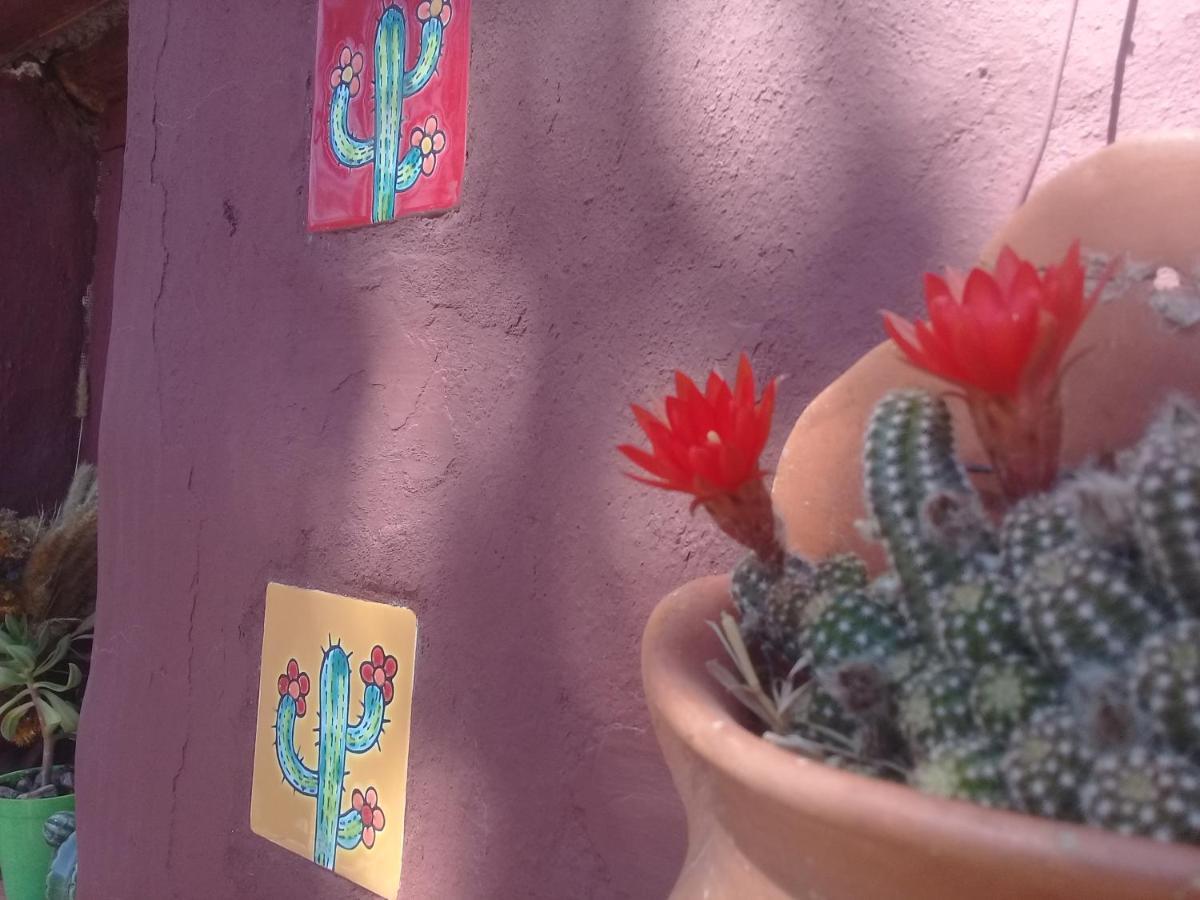 Cabana El Cardon,Casita En El Campo Quebradeno Humahuaca Esterno foto