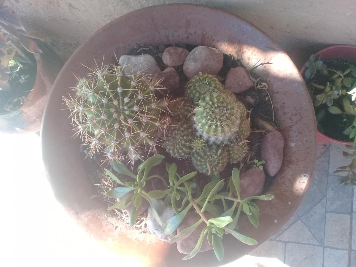Cabana El Cardon,Casita En El Campo Quebradeno Humahuaca Esterno foto