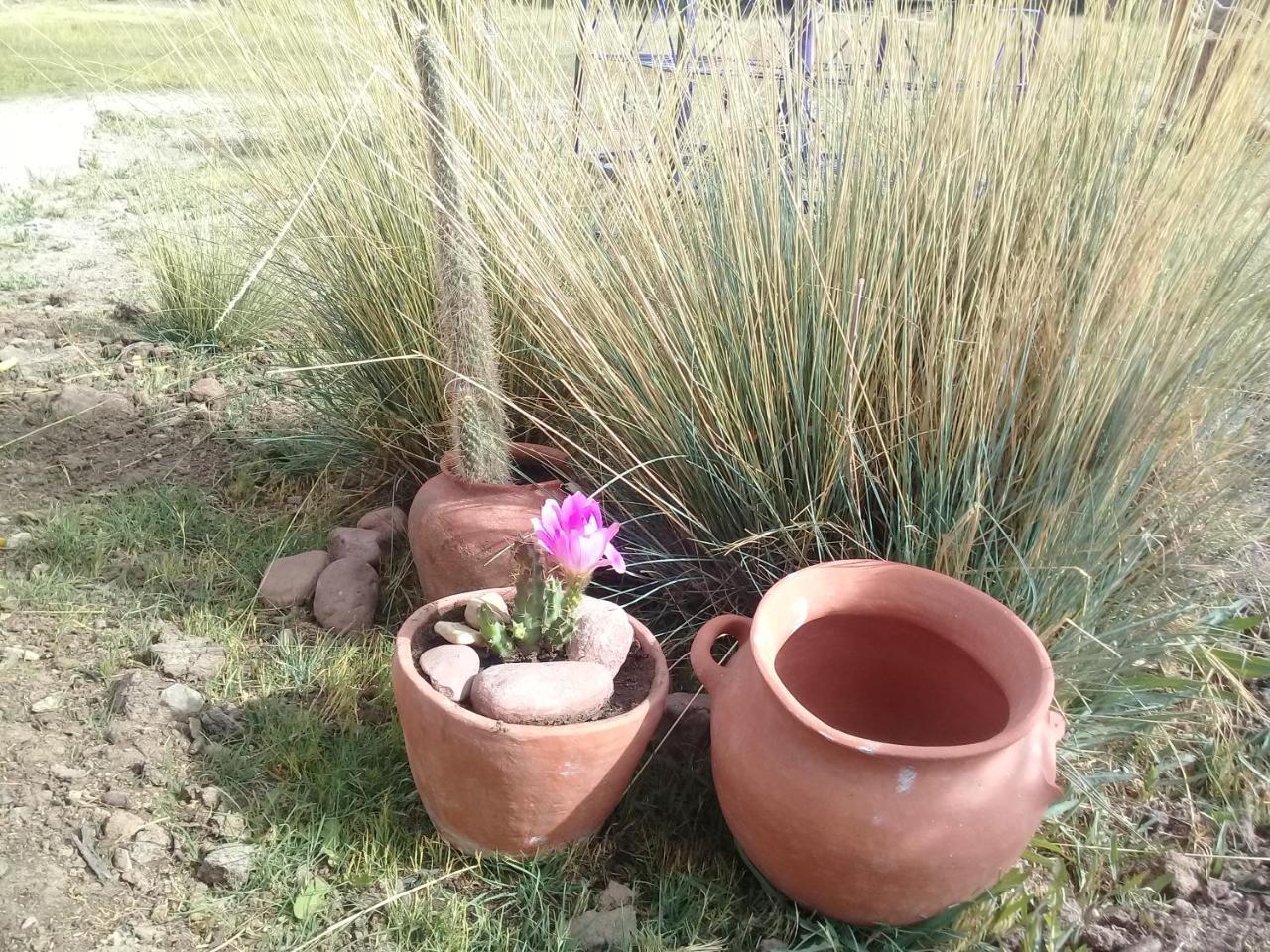Cabana El Cardon,Casita En El Campo Quebradeno Humahuaca Esterno foto