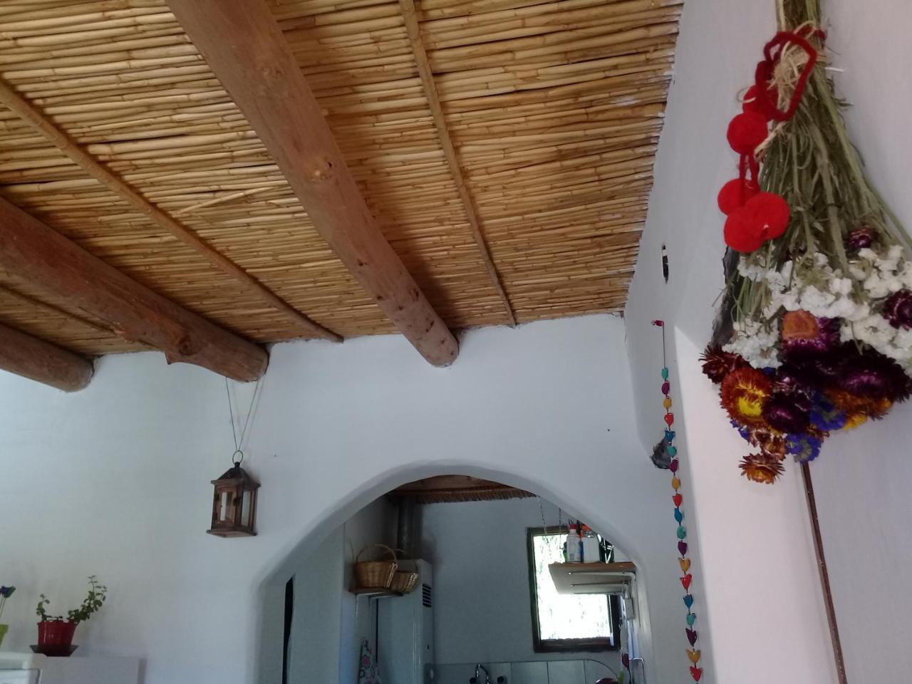 Cabana El Cardon,Casita En El Campo Quebradeno Humahuaca Esterno foto