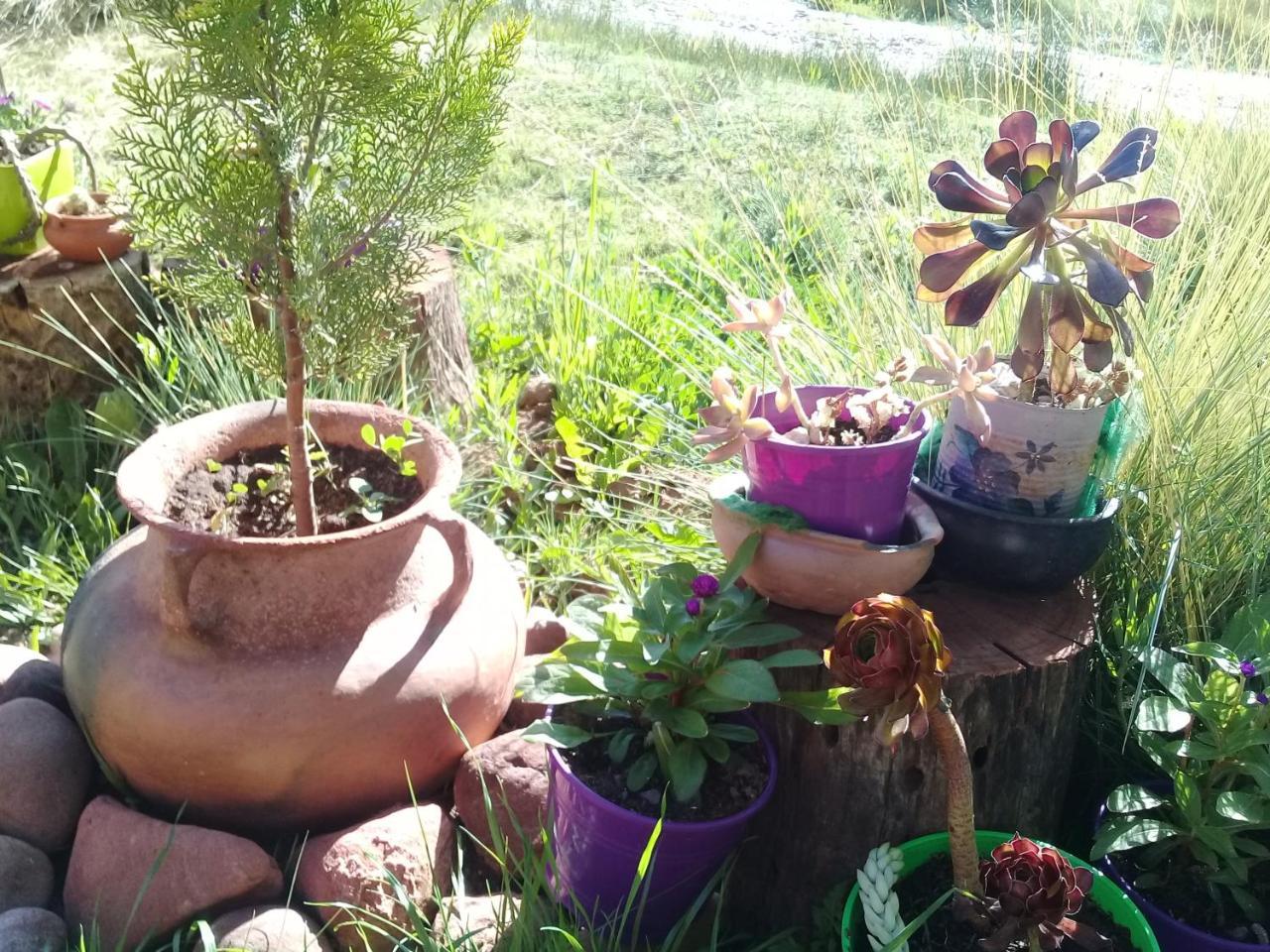 Cabana El Cardon,Casita En El Campo Quebradeno Humahuaca Esterno foto