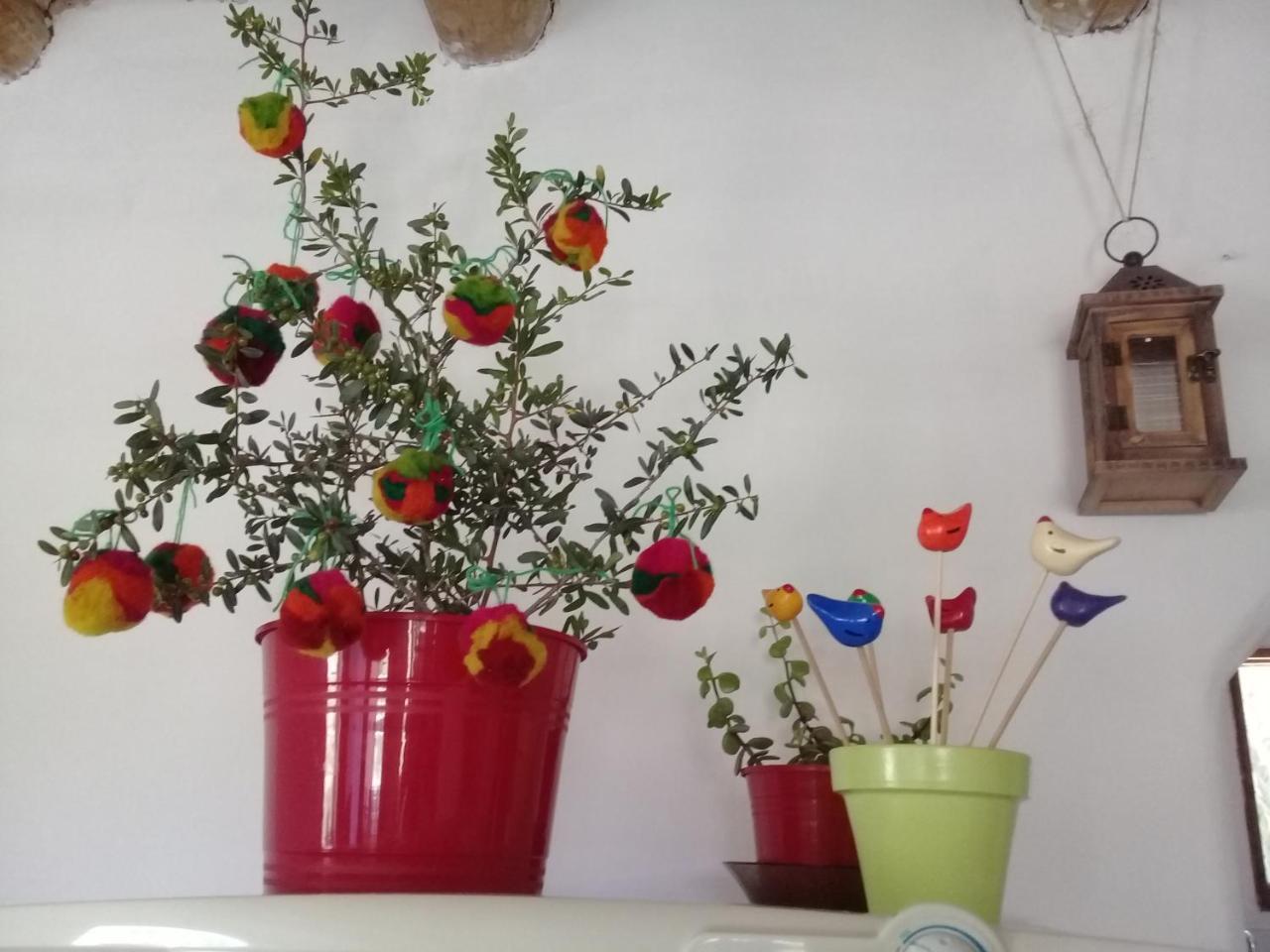 Cabana El Cardon,Casita En El Campo Quebradeno Humahuaca Esterno foto