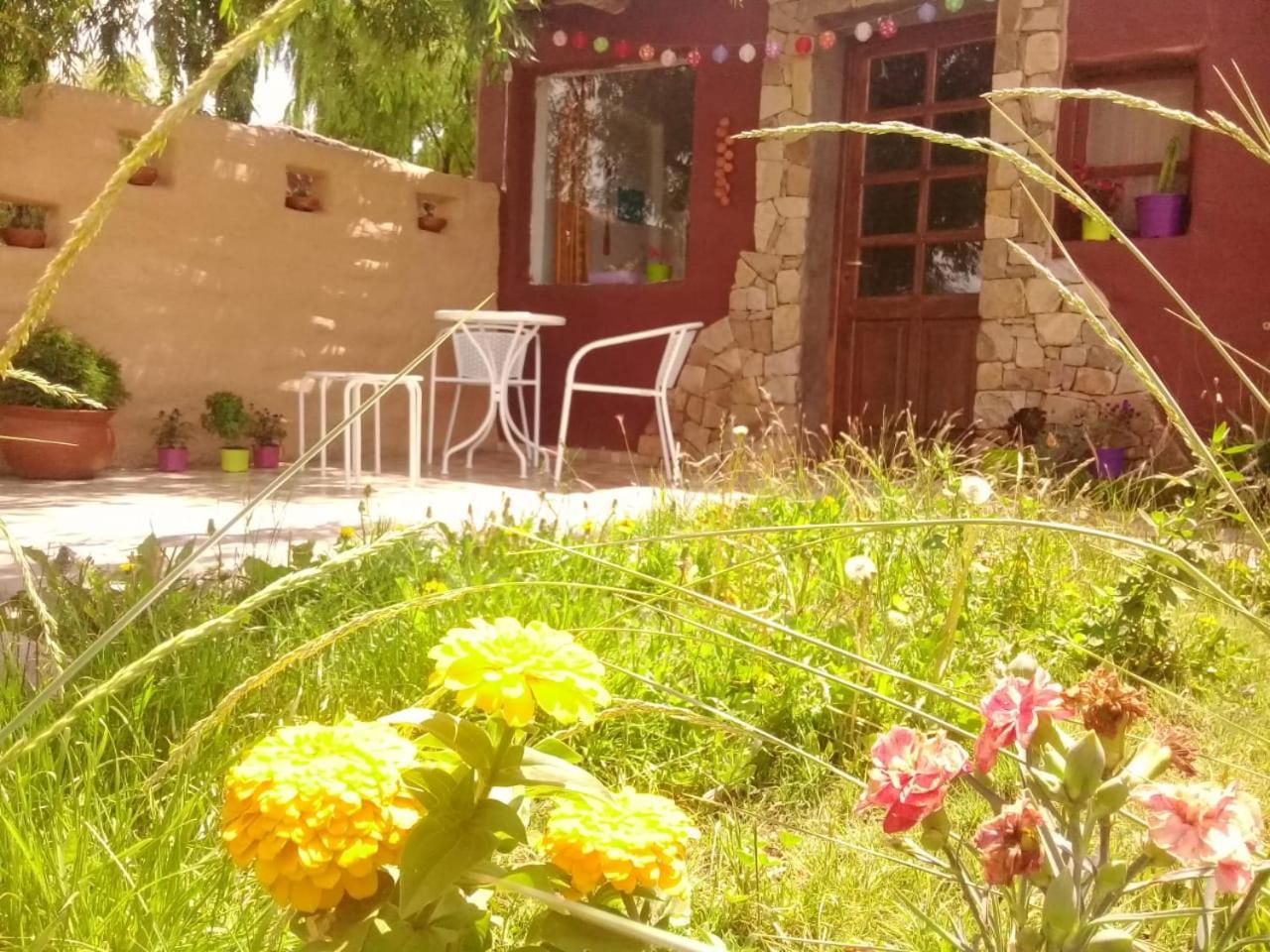 Cabana El Cardon,Casita En El Campo Quebradeno Humahuaca Esterno foto