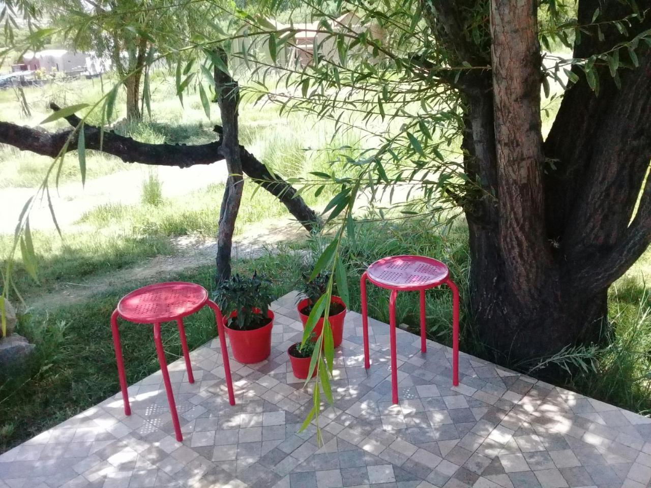 Cabana El Cardon,Casita En El Campo Quebradeno Humahuaca Esterno foto