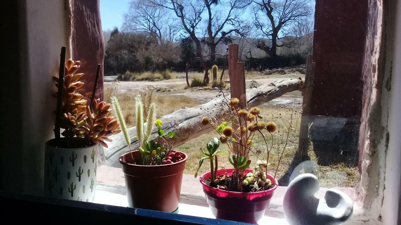 Cabana El Cardon,Casita En El Campo Quebradeno Humahuaca Esterno foto